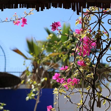 Riad 46 Marrakesh Eksteriør billede