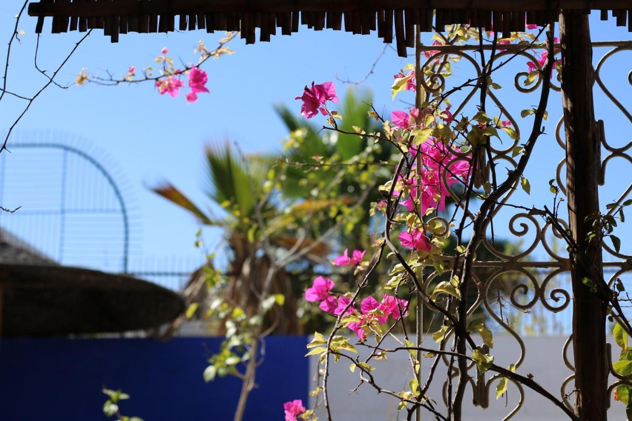 Riad 46 Marrakesh Eksteriør billede